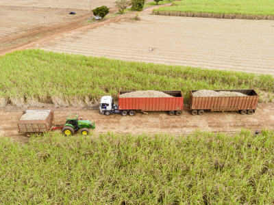 Recuperação da moagem avança e safra 24/25 promete crescimento no Nordeste, aponta consultor